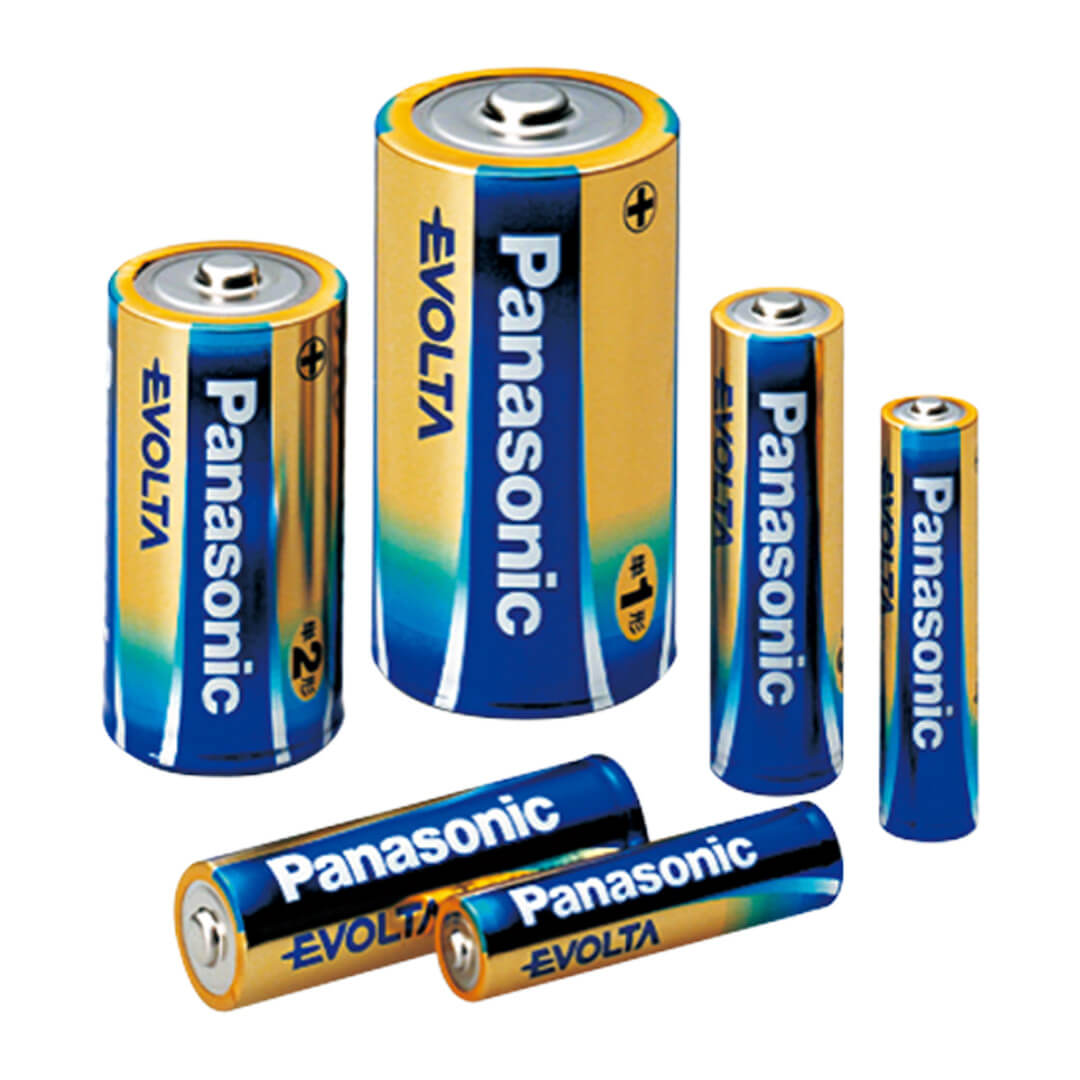 Panasonic EVOLTA alkaline dry batteries
